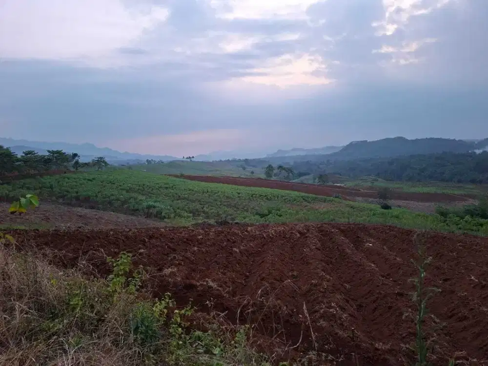 Tanah di Desa Sukamaju, Kecamatan Cikembar, Sukabumi
