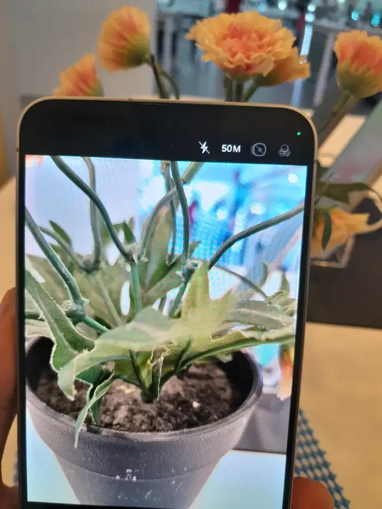 Samsung S25 Fe Murah