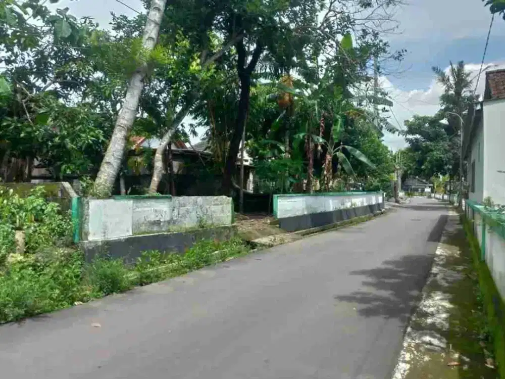 Pekarangan Bagus di Area Pemda Sleman