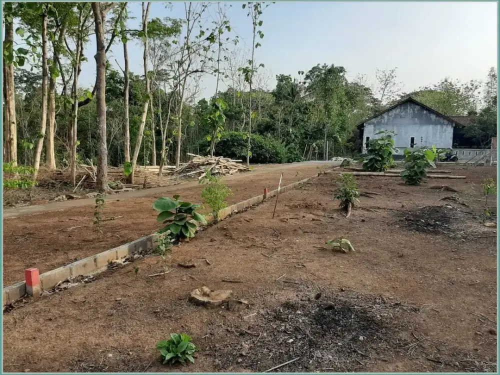 KAVLING MURAH SERTIFIKAT SHM YOGYAKARTA DEKAT TUGU JOGJA