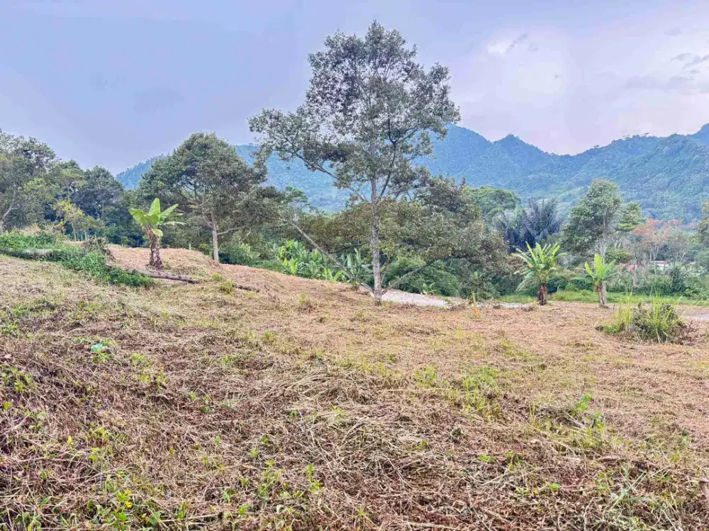 tanah kavling di puncak 2 Bogor Deket wisata view pegunungan suasana pedesaan
