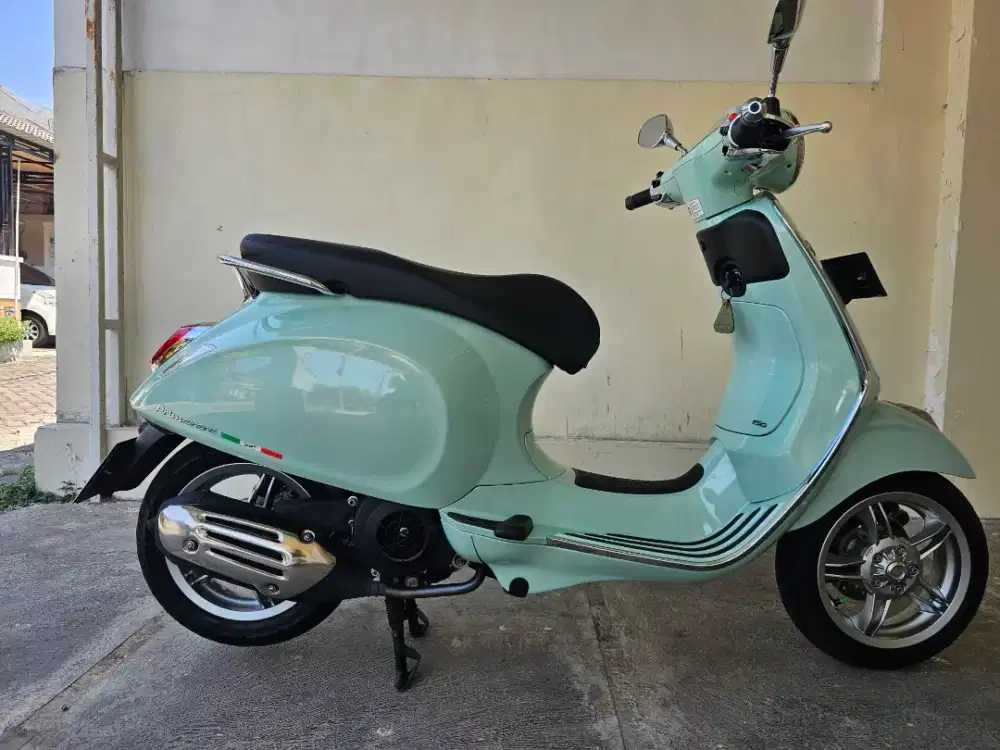 Primavera 2024 Green Relax Oddo 2,5rb