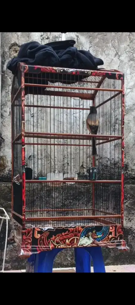 Pentet Sapudi madura gondrong full