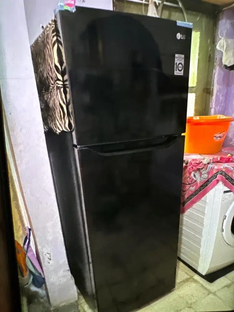 Kulkas LG 2 Pintu