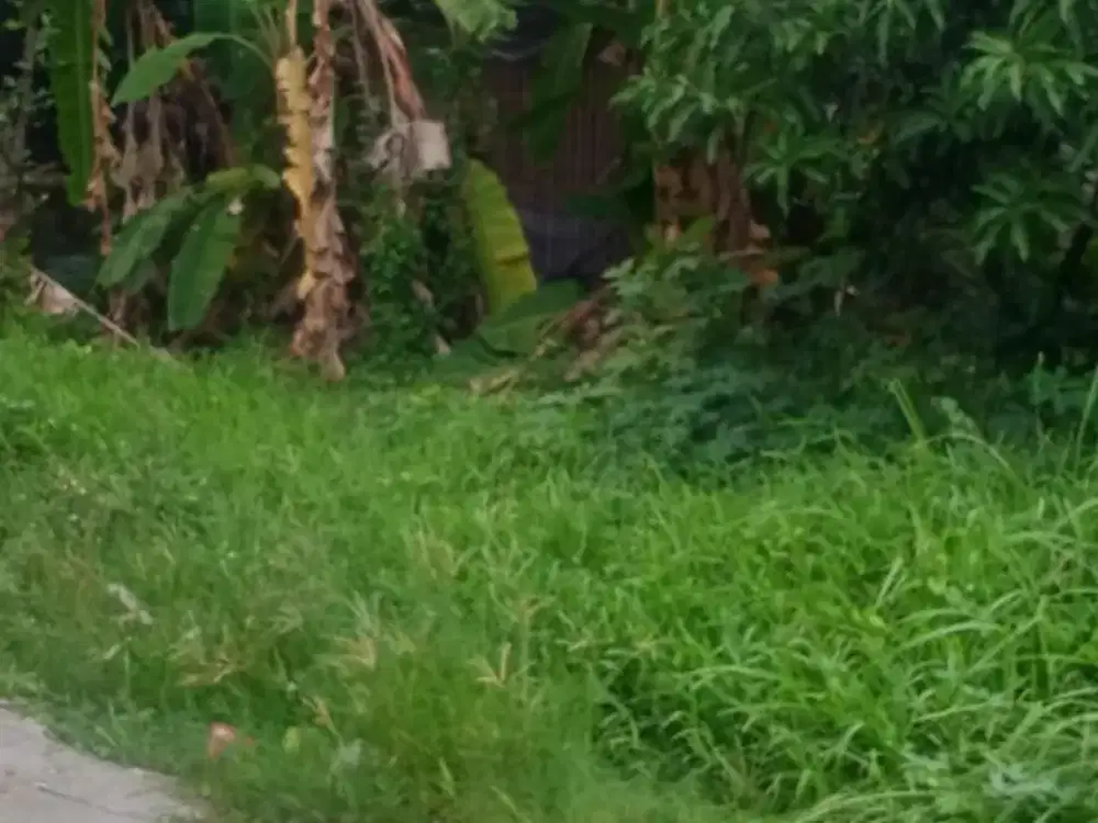 Tanah nol aspal sukodono