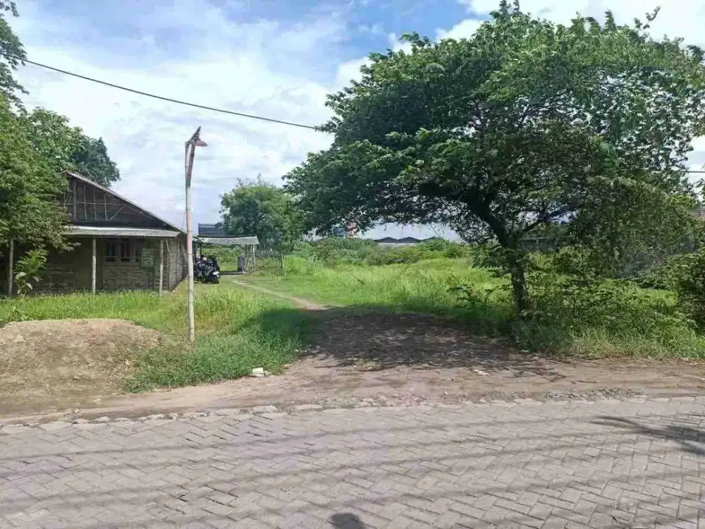 DIJUAL TANAH MURAH PEMILIK BUTUH UANG LOKASI STRATEGIS WRINGINANOM