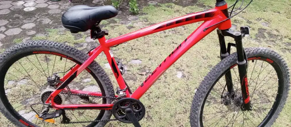 Mtb united detroit 1.0