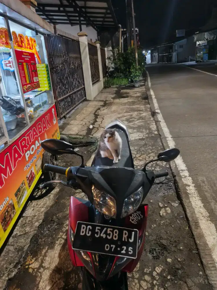 JUPITER Z ROBOT 2010