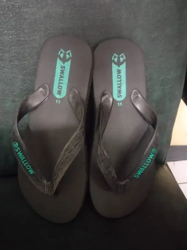 Sandal Swallow- HSC 2025