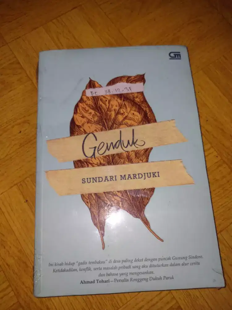 Novel Genduk karya Sundari Mardjuki