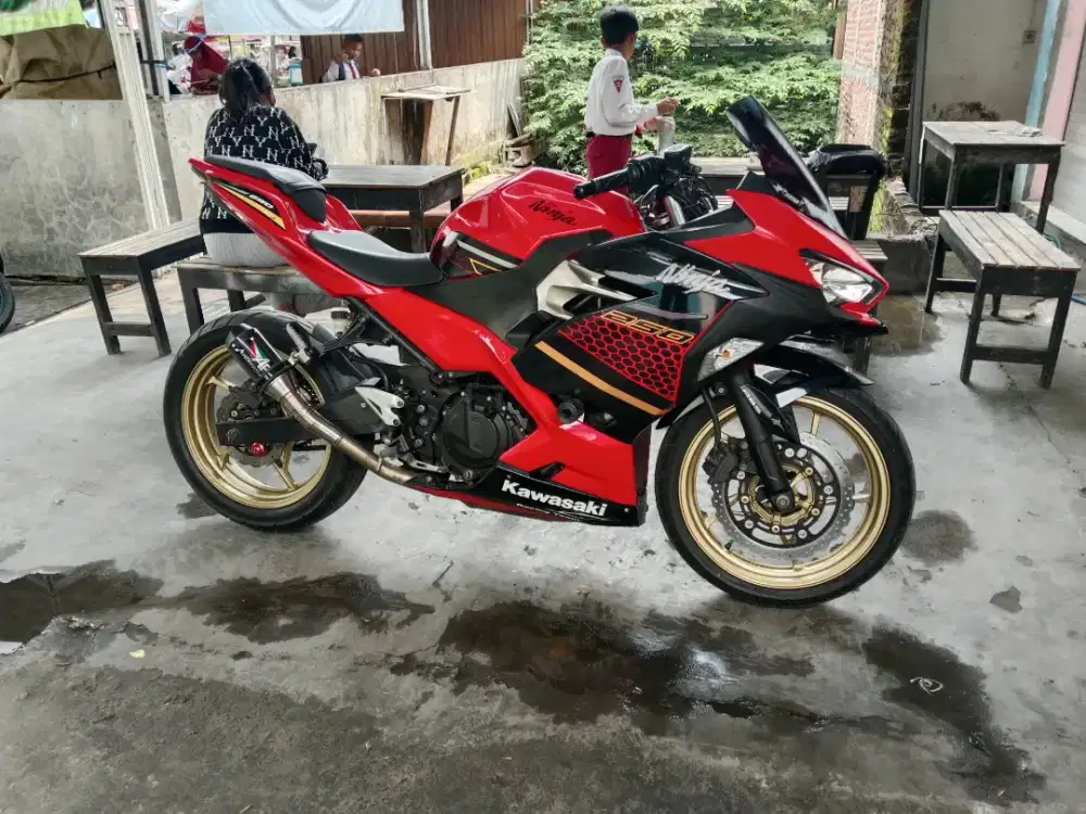 Ninja 250cc fi new 2019 low km