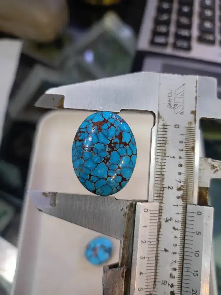 Pirus Mesir Ceplok Kuro Loose Stone Jumbo