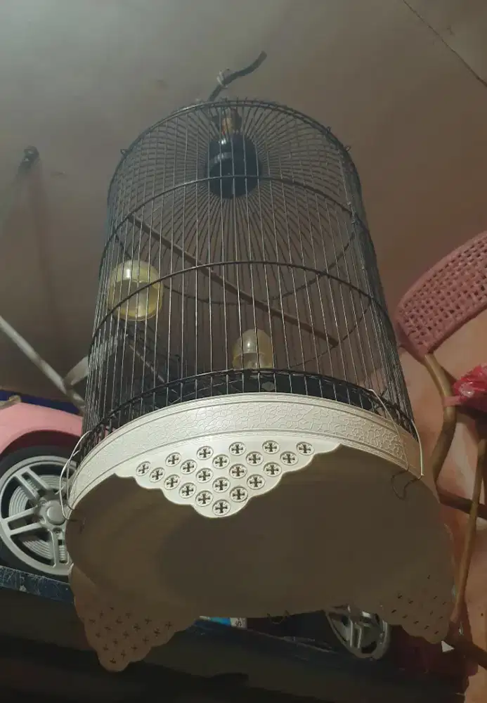 Kandang burung lovebird dll bisa kirim keseluruh indonesia