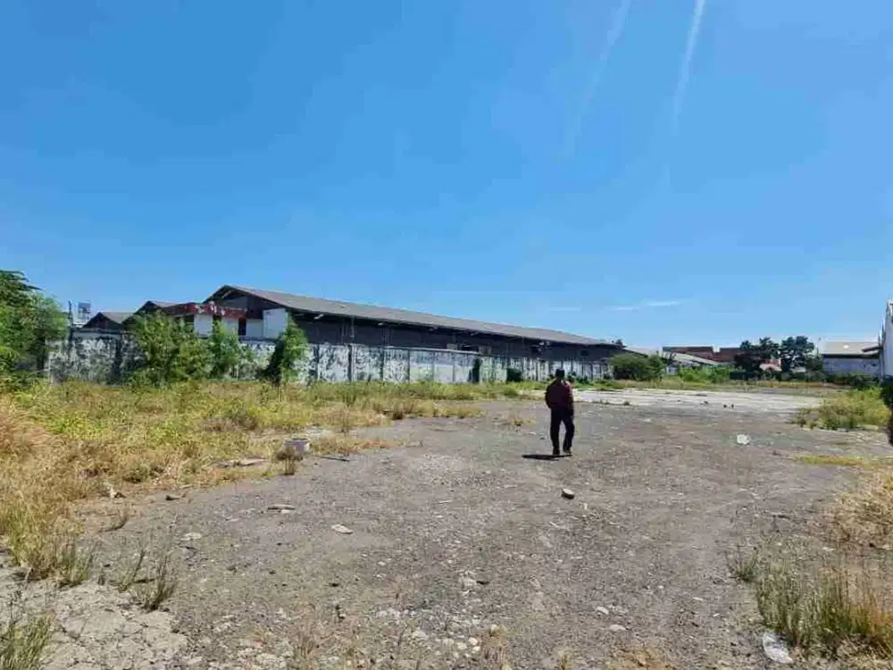 Disewakan tanah surimulya margomulyo sdh urug