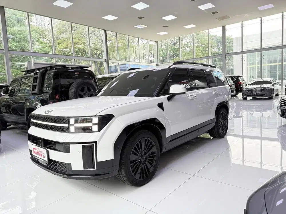 Hyundai Santafe Caligraphy hybrid 2024