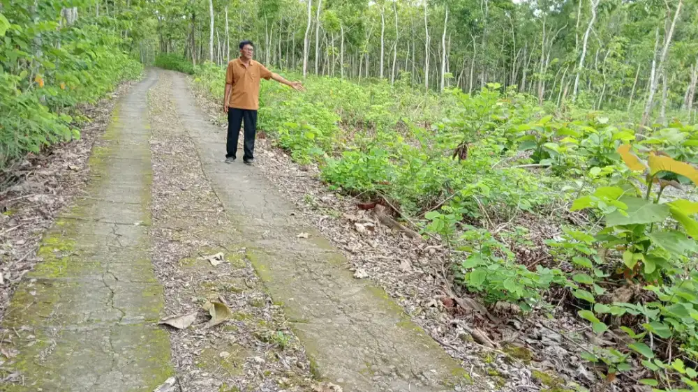 Jual tanah di Playen Gk