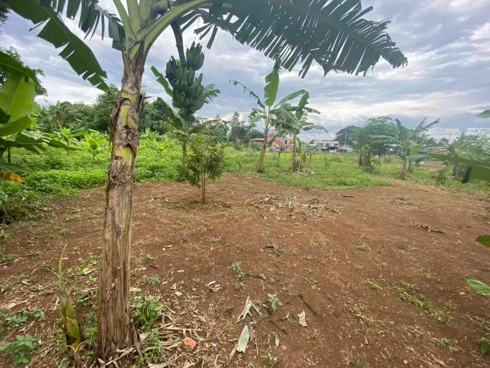 Jual Pinggir Jalan Desa Sawah&Kebun Citalang Purwakarta Diapit Perumahan 18.232