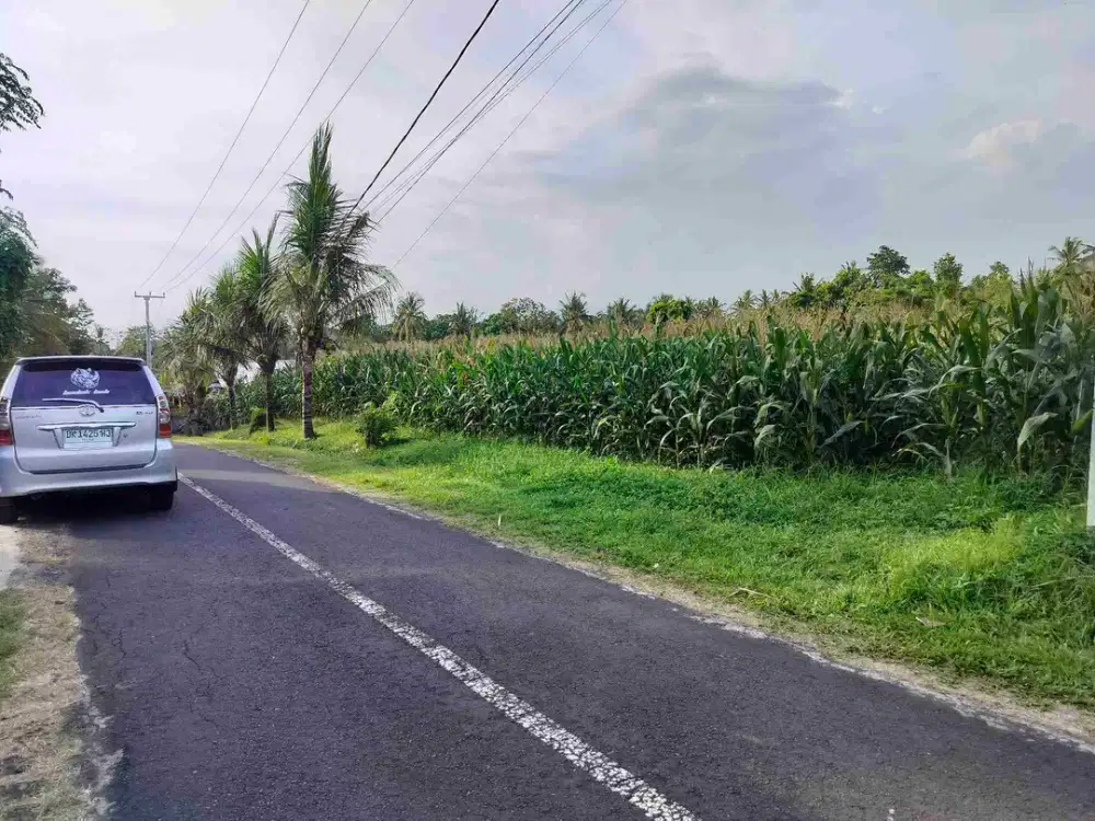 jual tanah murah vieq laut gunung.