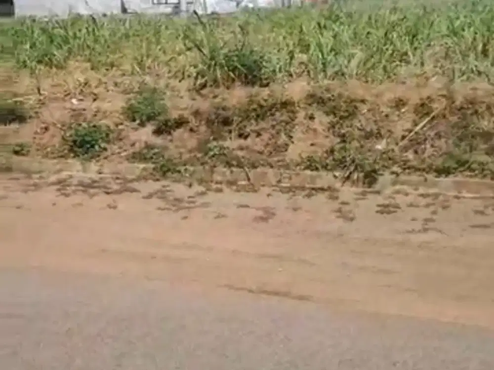 Dijual Murah Lahan Strategis di Bululawang Dekat Pabrik Gula Krebet