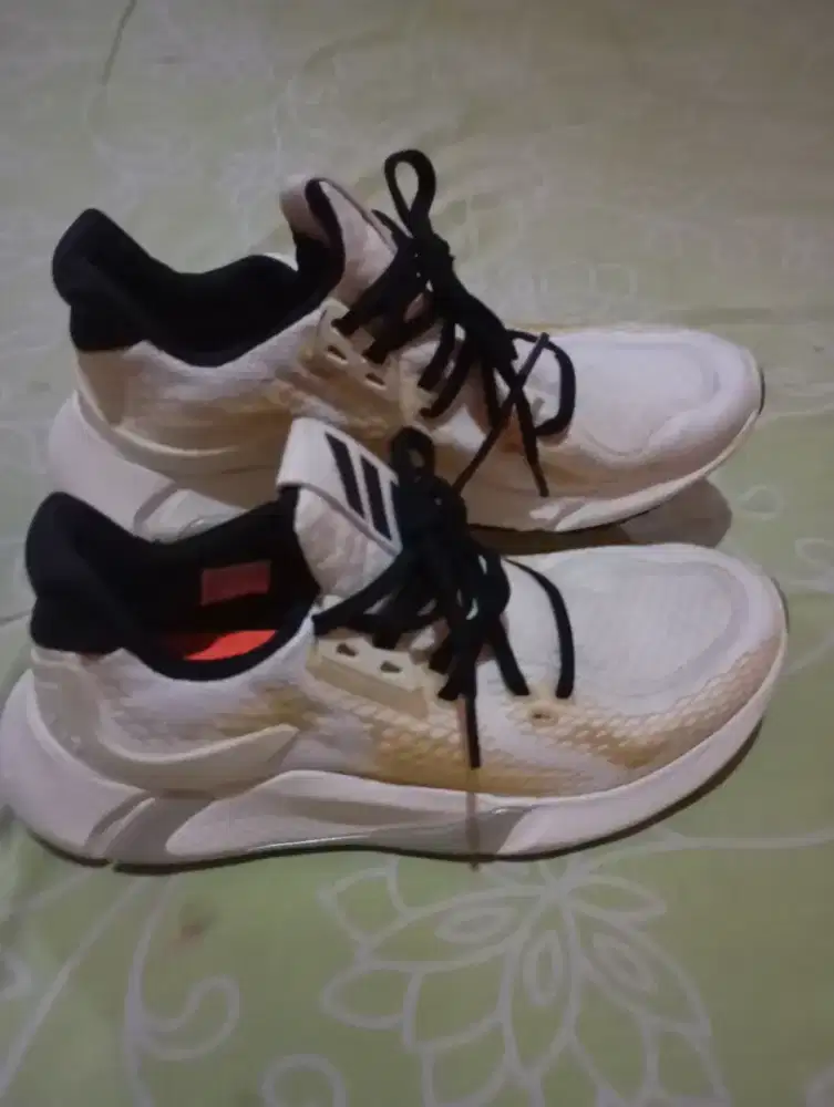 Sepatu adidas orginal