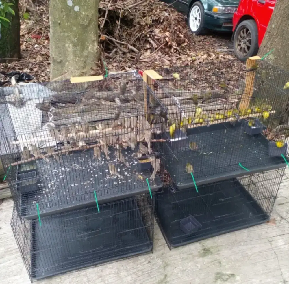 kandang besi masih bagus