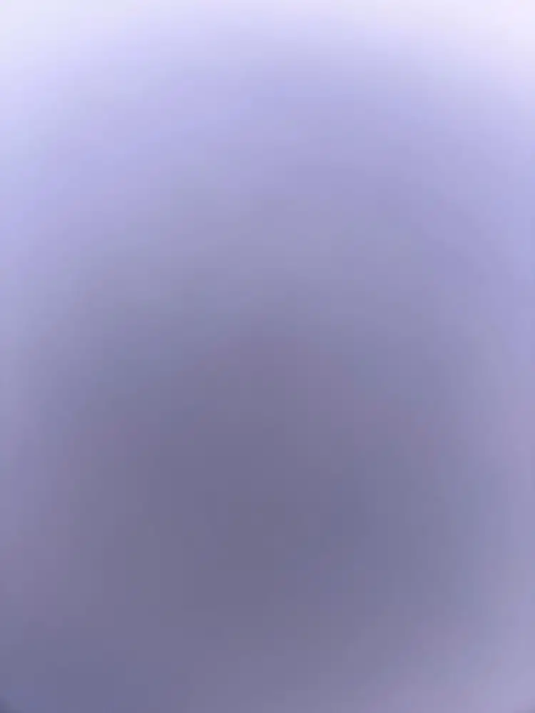 Asisten rumah tangga