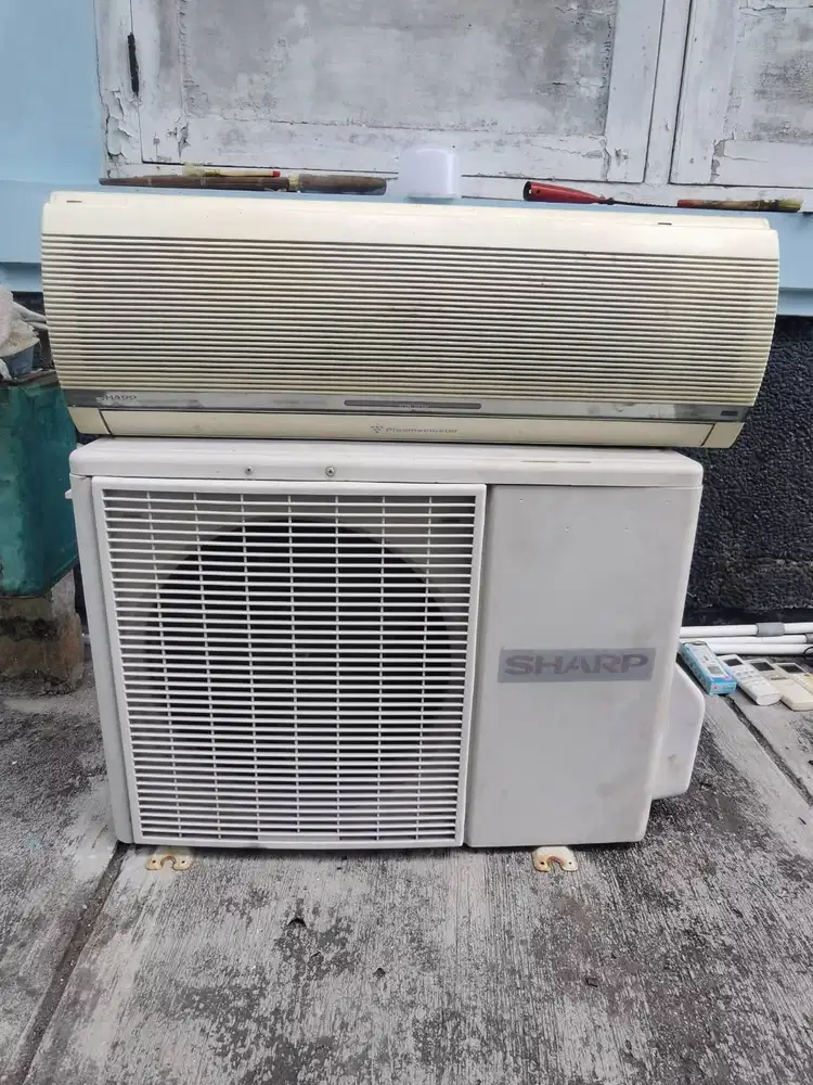 AC 3/4 PK Merk Sharp