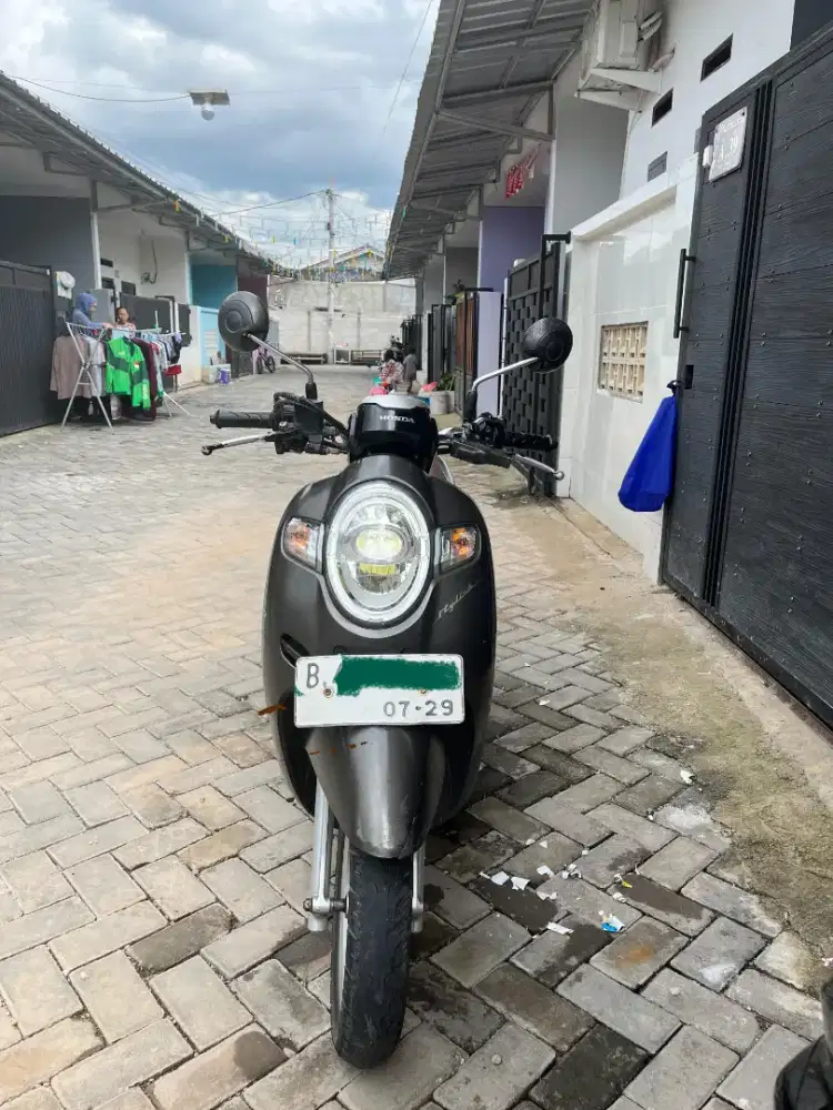Scoopy 2019 terawat