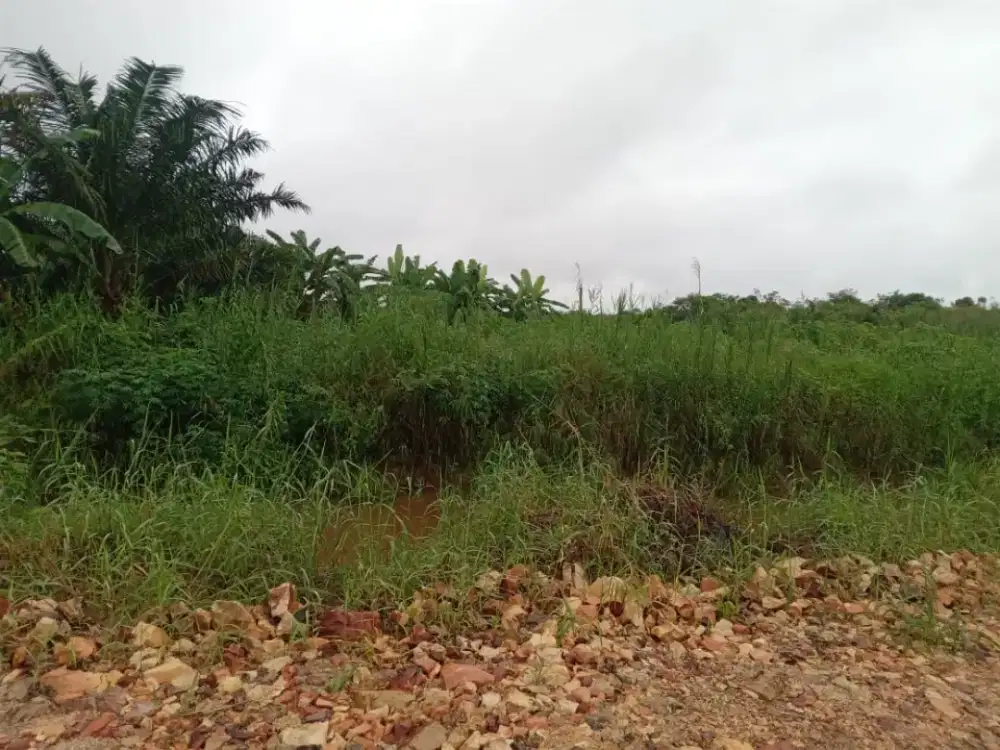 Dijual Tanah Luas Datar Cocok Untuk Investasi