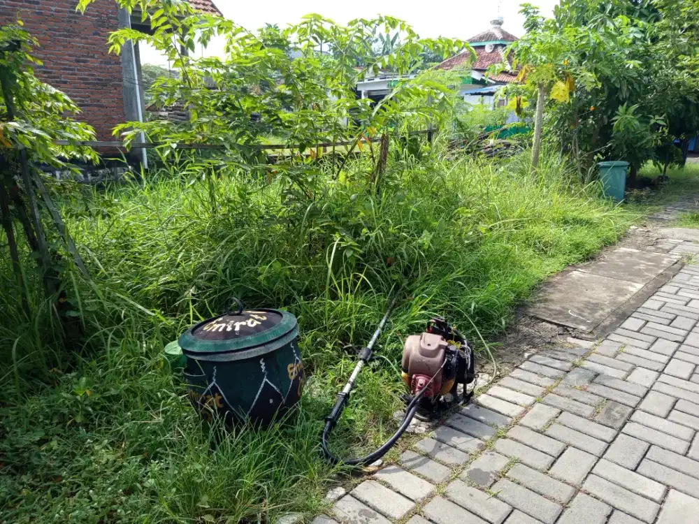 Potong rumput dan semak