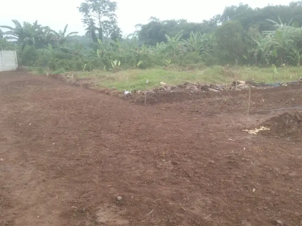 Dijual Kavling Cisauk Termurah,10 Menit Hiera