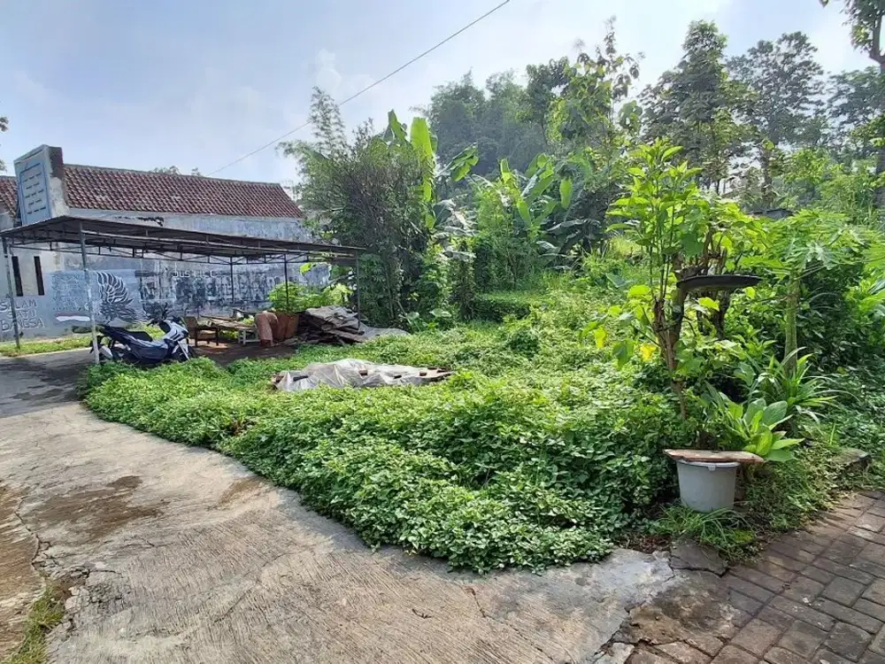 Tanah murah SHM Bugis Saptorenggo Pakis Malang Dijual cepat B.U Poll