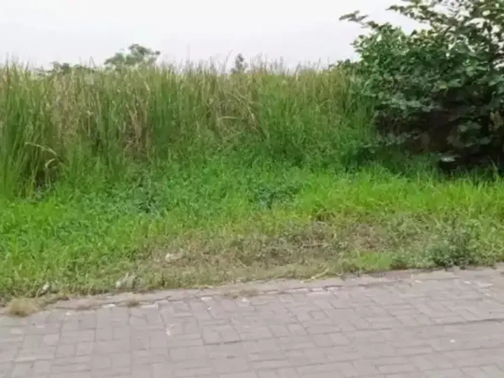 Kavling 80m² Harga 65jt, Free AJB (Akta Jual Beli)