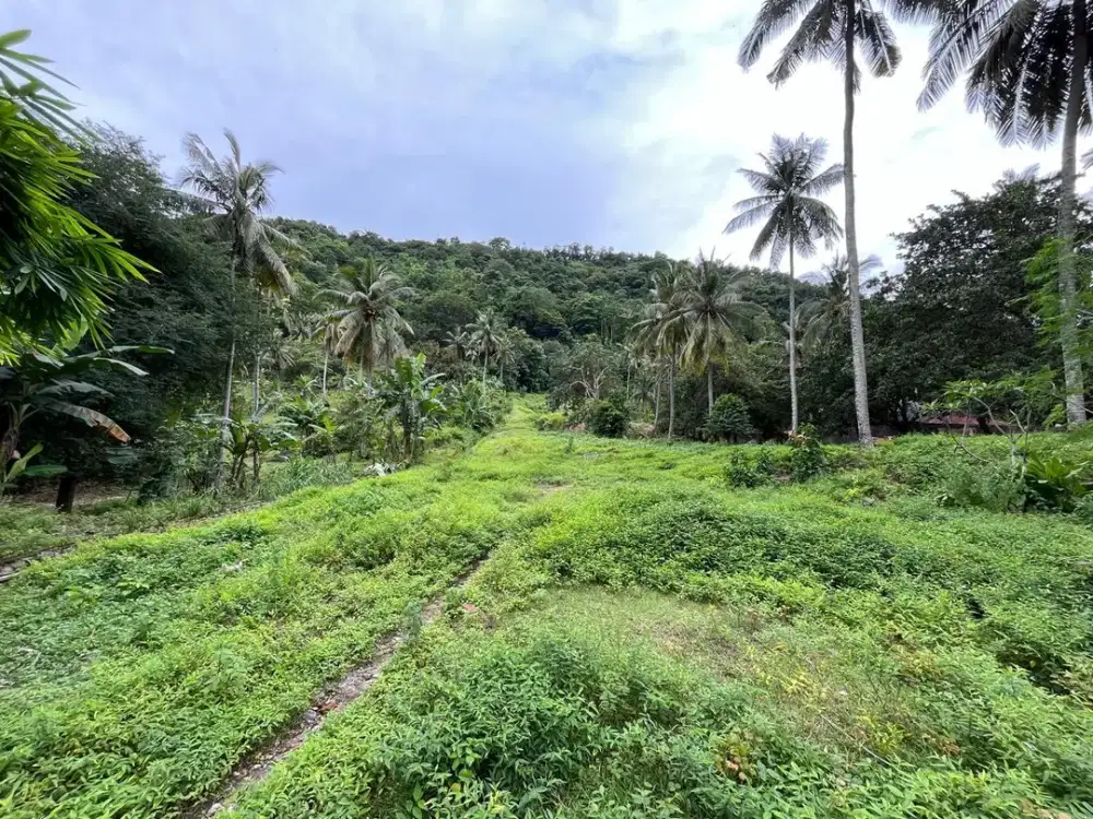 Tanah di Kerandangan dekat Senggigi