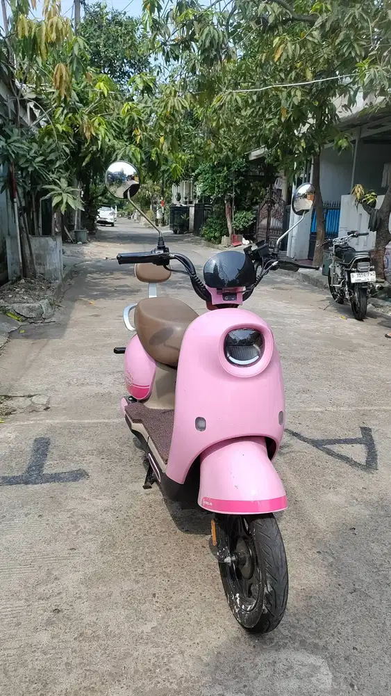 Selis Flamingo Pink 2025