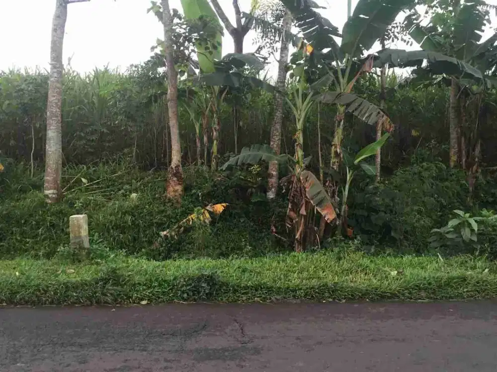 Lahan strategis di poros utama Dengkol