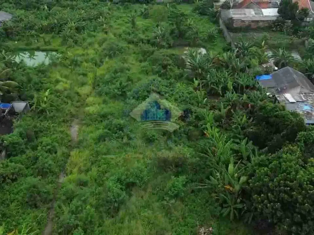 JUAL TANAH INDUSTRI SHM DEKAT PARAMOUNT PETALS