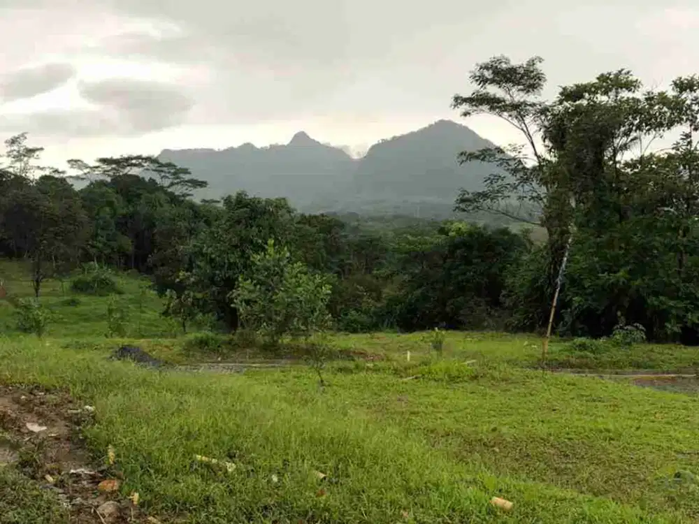 kavling wisata di puncak 2 Bogor fasilitas lengkap di wisata viral di Bogor