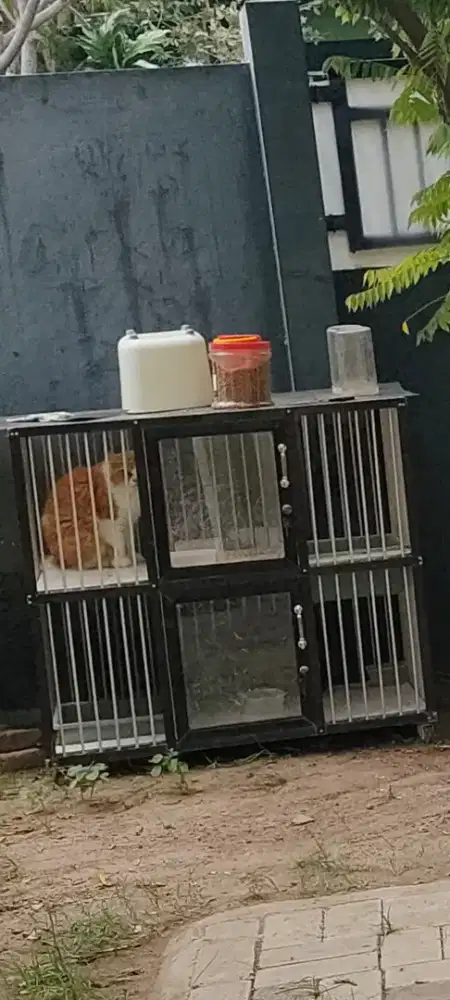 Kandang kucing stainlesteel