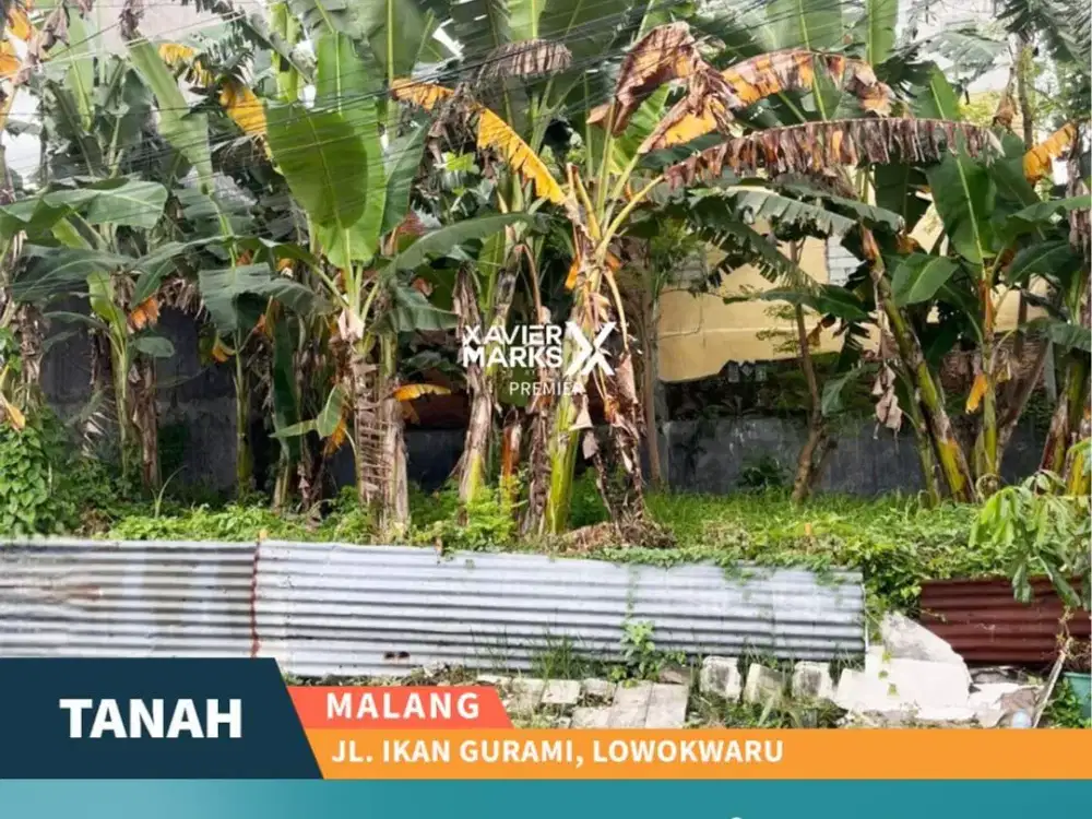 Dijual Tanah Kavling Jl Ikan Gurami Malang Dekat Sekolah Sabilillah