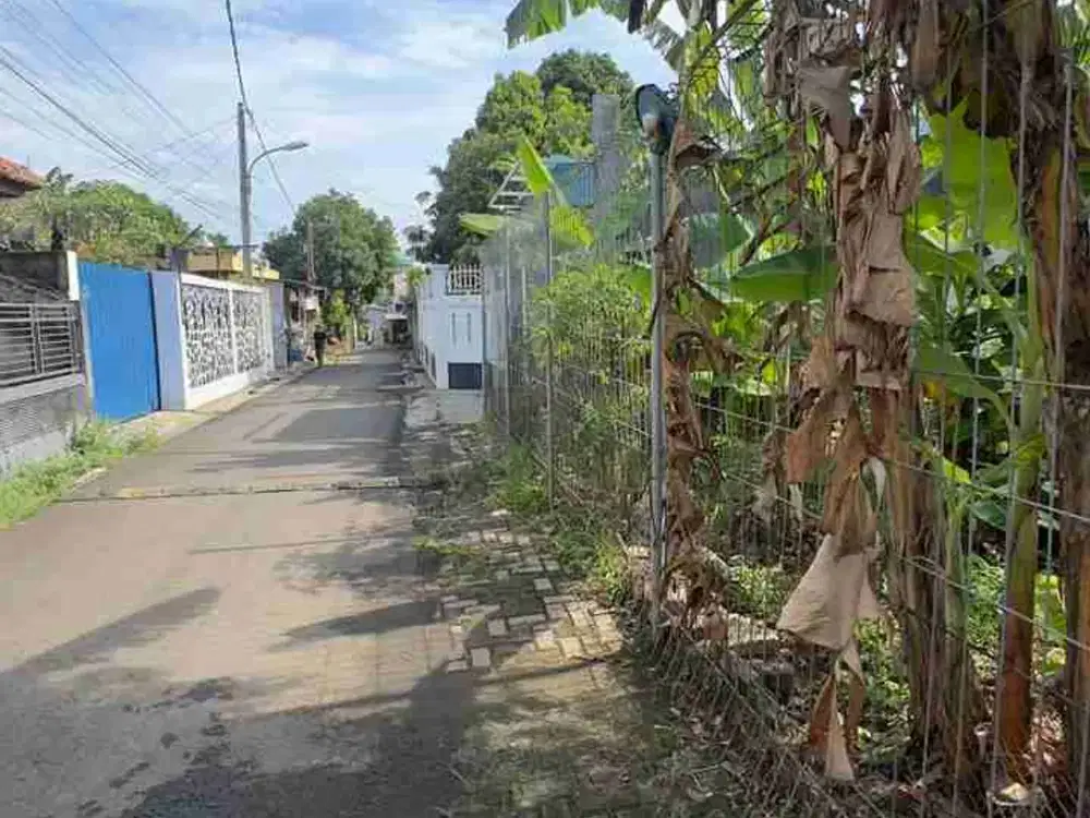 DIJUAL CEPAT KAVLING BIBIT IKAN HIAS JATISAMPURNA CIBUBUR