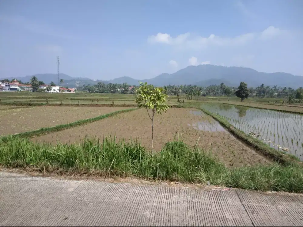Di Jual Tanah 305 m2 Cianjur