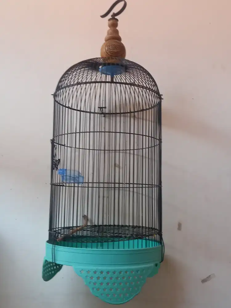 KANDANG BURUNG BULAT