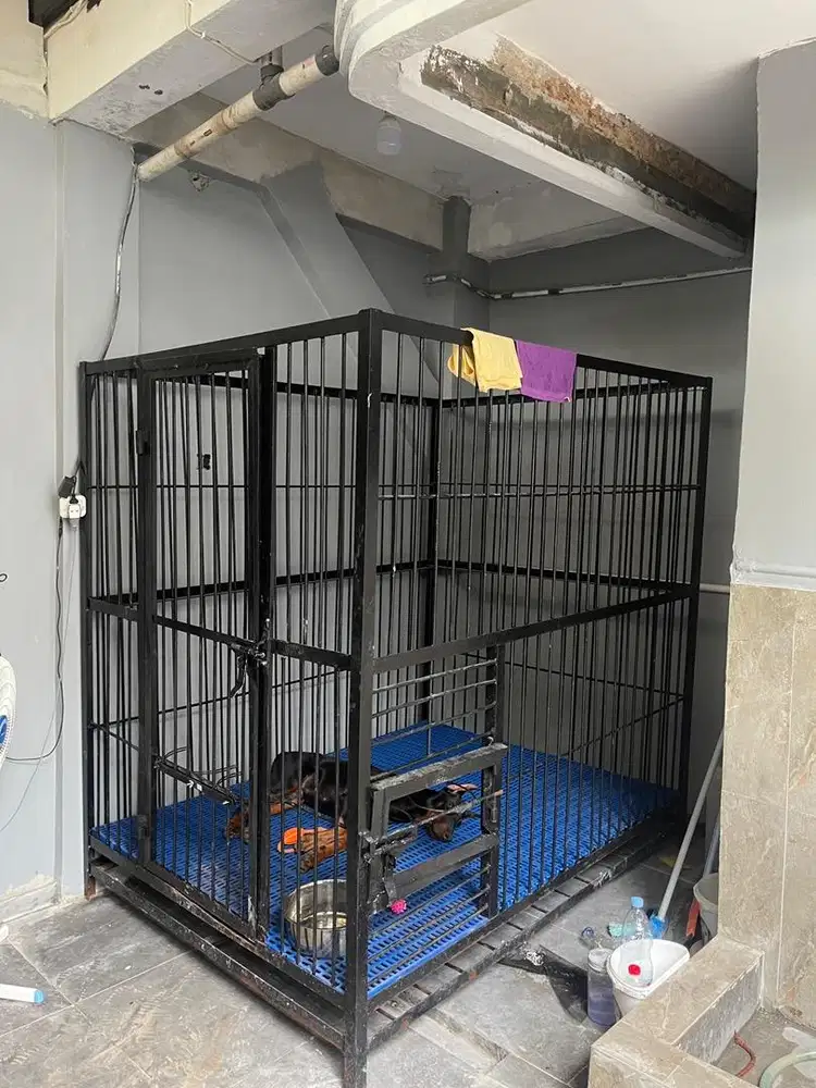 Kandang Anjing Besar