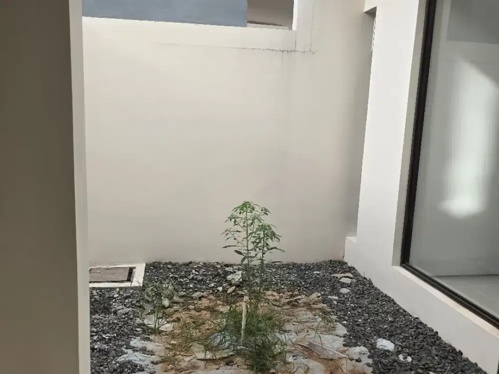 Jual cpt Citra Garden Serpong Clus Aeris T.Linnea,cisauk,tangerang- AL