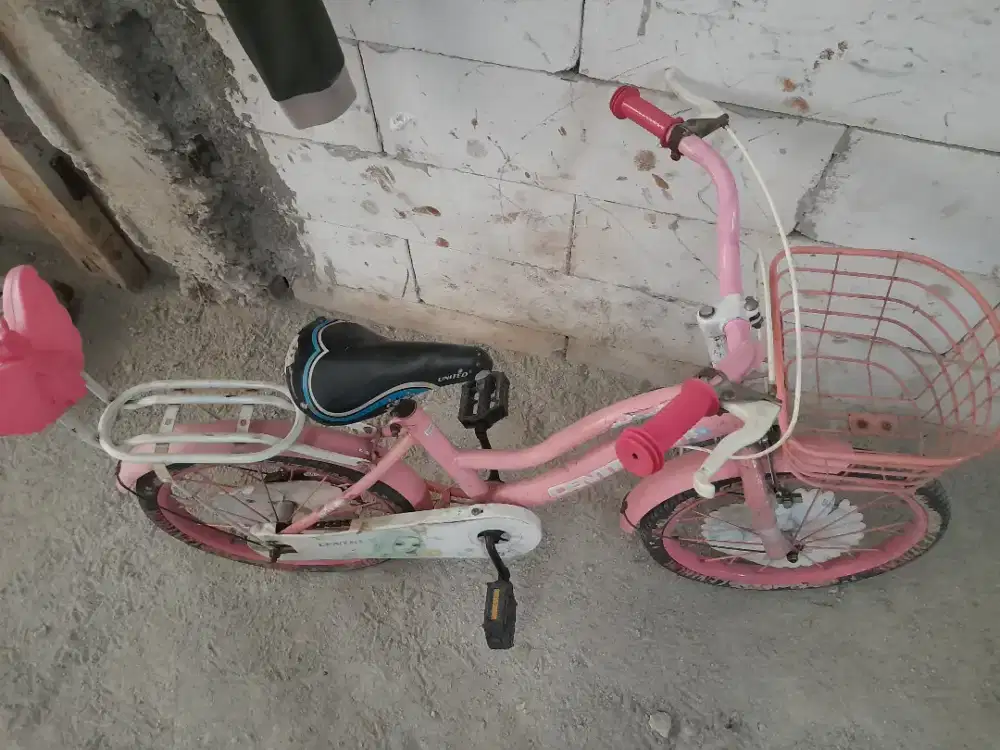 Jual sepeda anak perempuan bekas