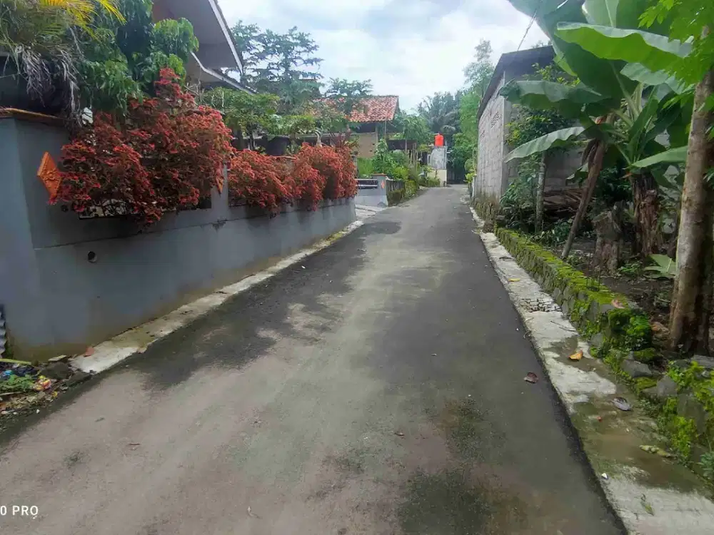 Dijual Pekarangan Tepi Jalan Aspal Barat Cebongan Mlati Sleman Yogyakarta