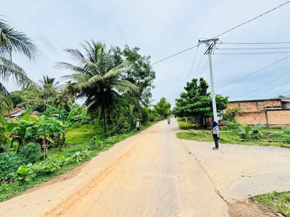 DIJUAL CEPAT TANAH MURAH JALAN LEBONG PERMAI ALANG ALANG LEBAR PALEMBANG