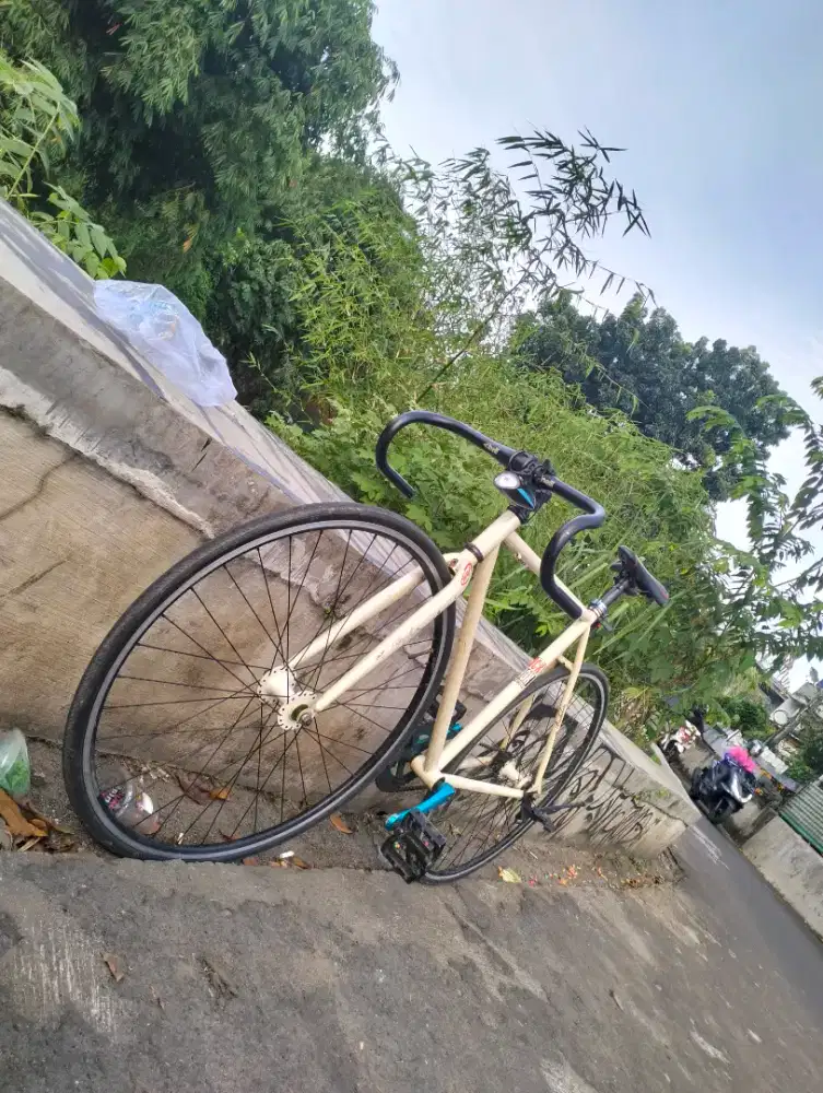 Sepeda Fixie bekas