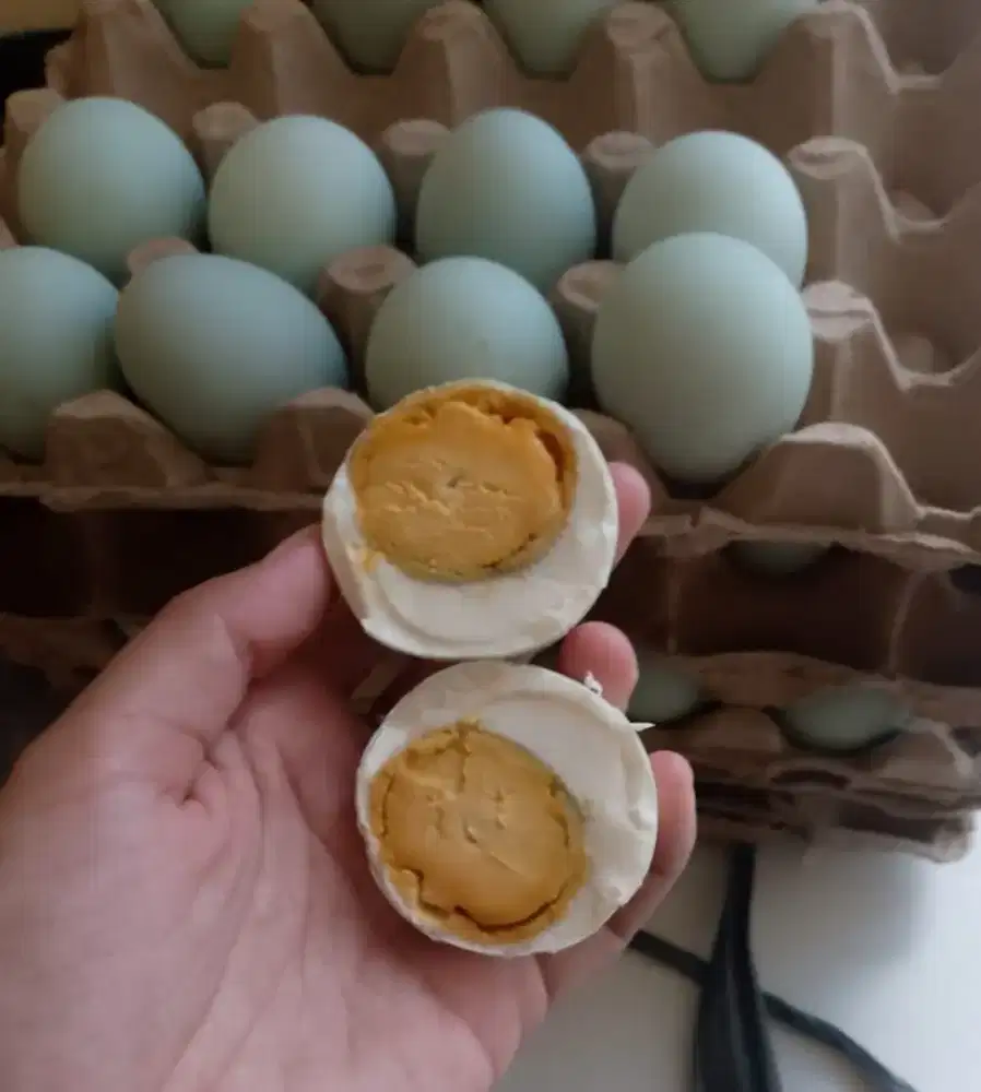 Sedia telur asin dan telur bebek mentah